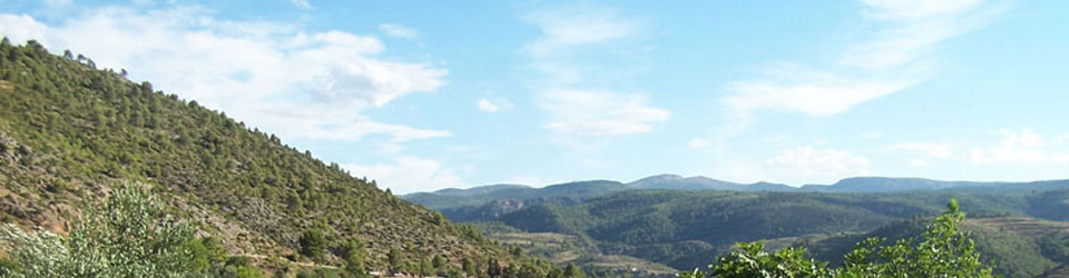 Casas Rurales Villa Presentación - Nerpio (Sierra del Segura - Albacete)